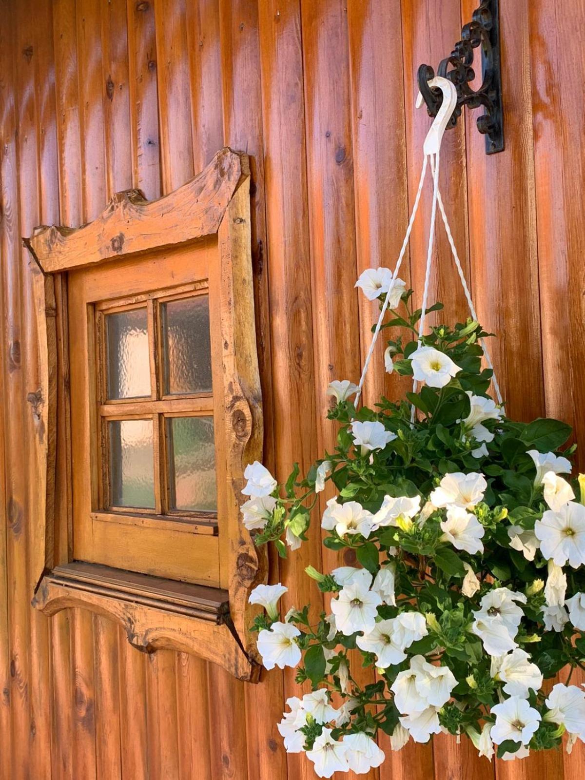 Ferienwohnung Ivona - Kuca Za Odmor Perusic - Stara Lika Exterior foto