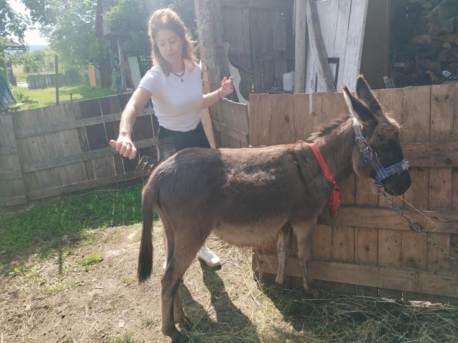 Ferienwohnung Ivona - Kuca Za Odmor Perusic - Stara Lika Exterior foto